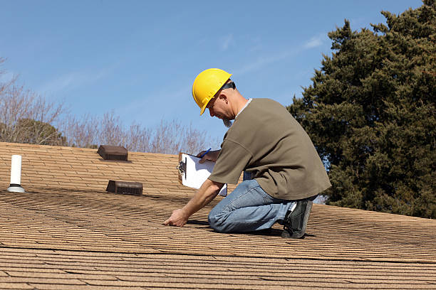 Best Roof Moss and Algae Removal  in Burlington, VT